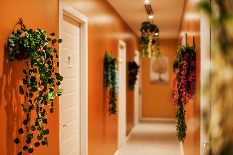 Dream Valley Spa Dubai Massage Studio